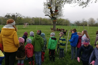 Ferienspaß Ostern: Leben auf dem Bauernhof
