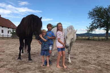 neu!!! Pony - Freunde starten im März 