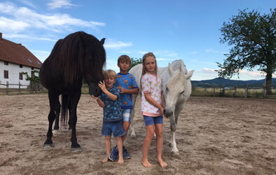 neu!!! Pony - Freunde starten im März 