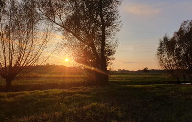 Hofzeit am 19.4. um 11:00